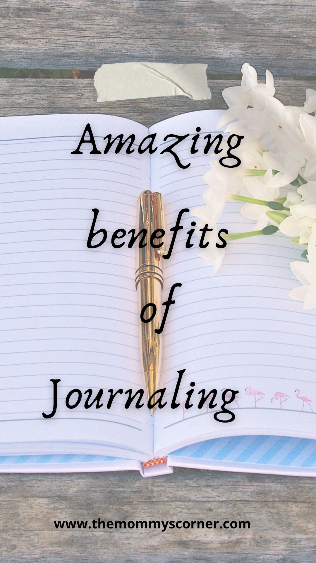 Amazing Benefits Of Journaling - TheMommysCorner